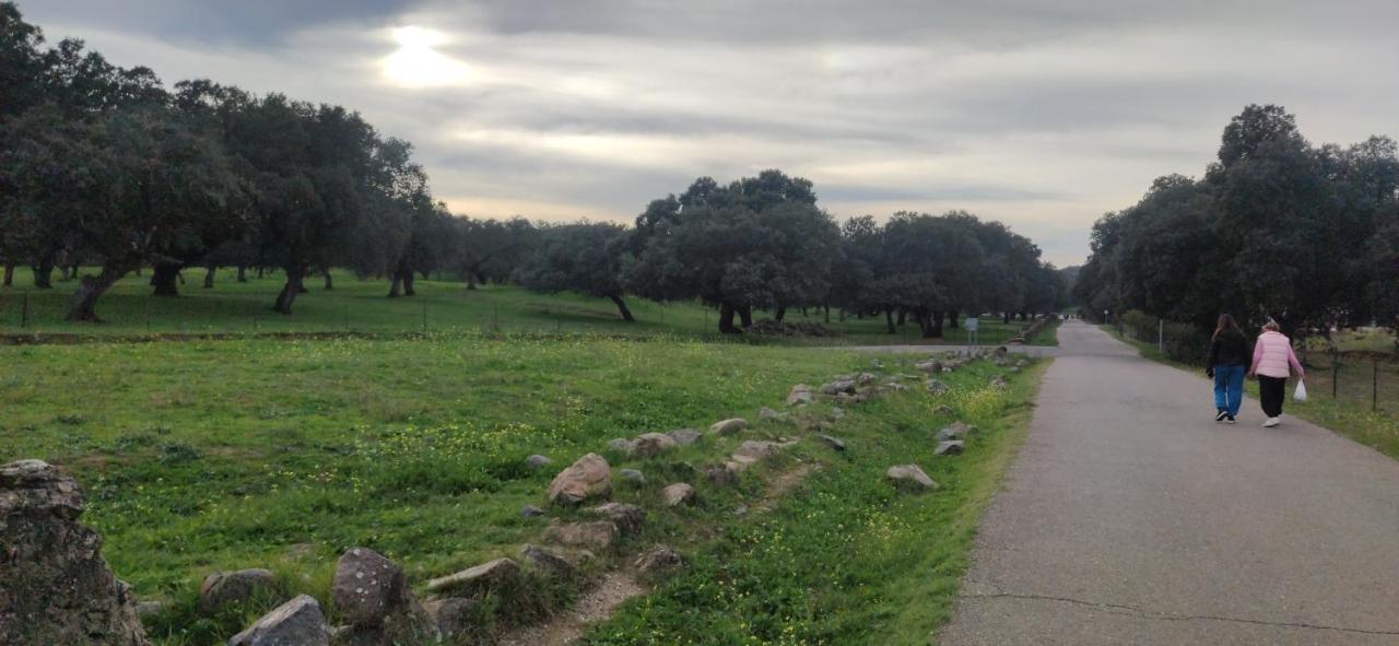 La Jara , Chalet Pareado El Real de la Jara Bagian luar foto