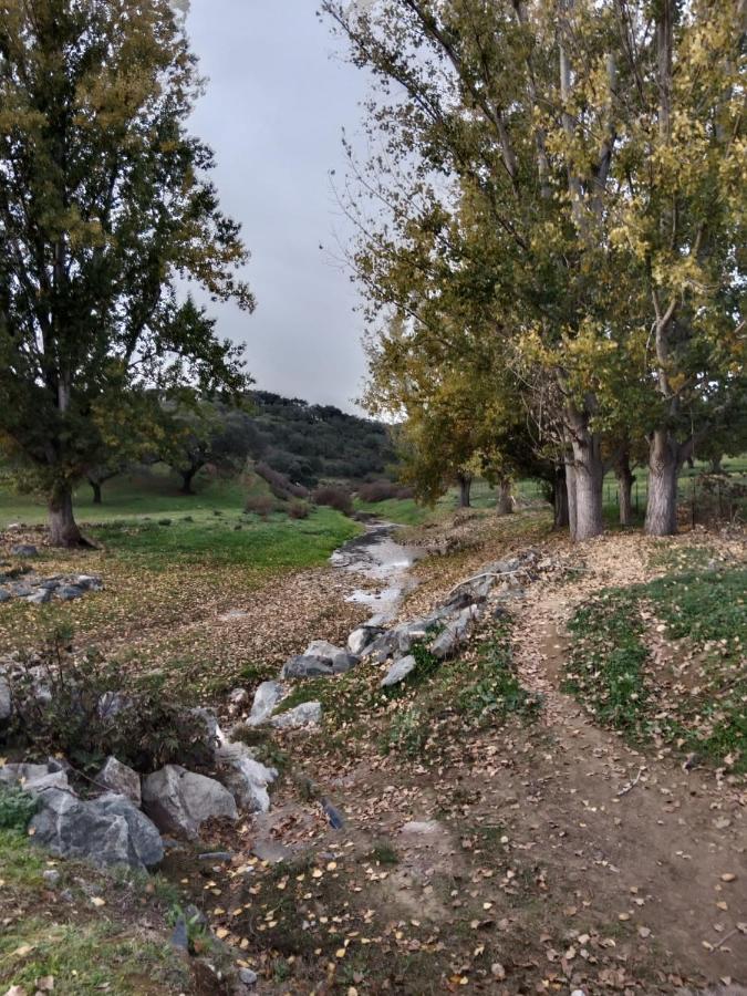 La Jara , Chalet Pareado El Real de la Jara Bagian luar foto
